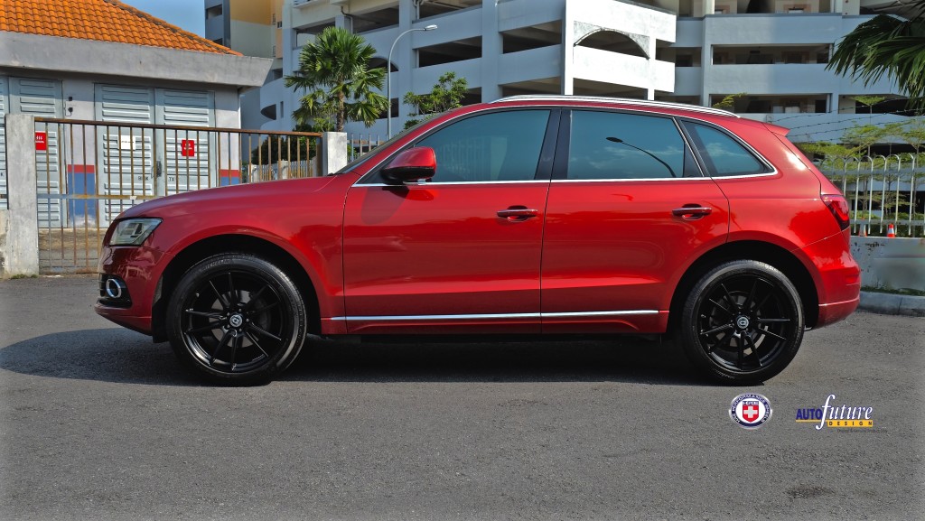 Q5 2